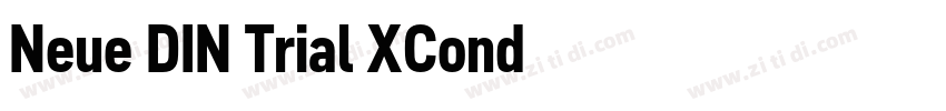 Neue DIN Trial XCond字体转换